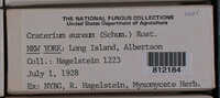 Image Associated With the Occurence